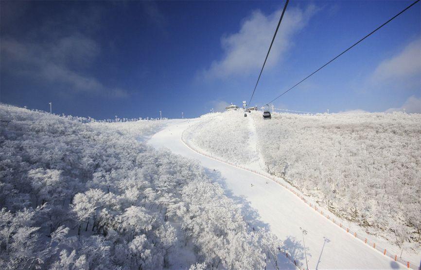 Top 7 Ski Resort Recommendation in Seoul/Busan! Enjoy your trip in Korean 2025/2025 Winter!